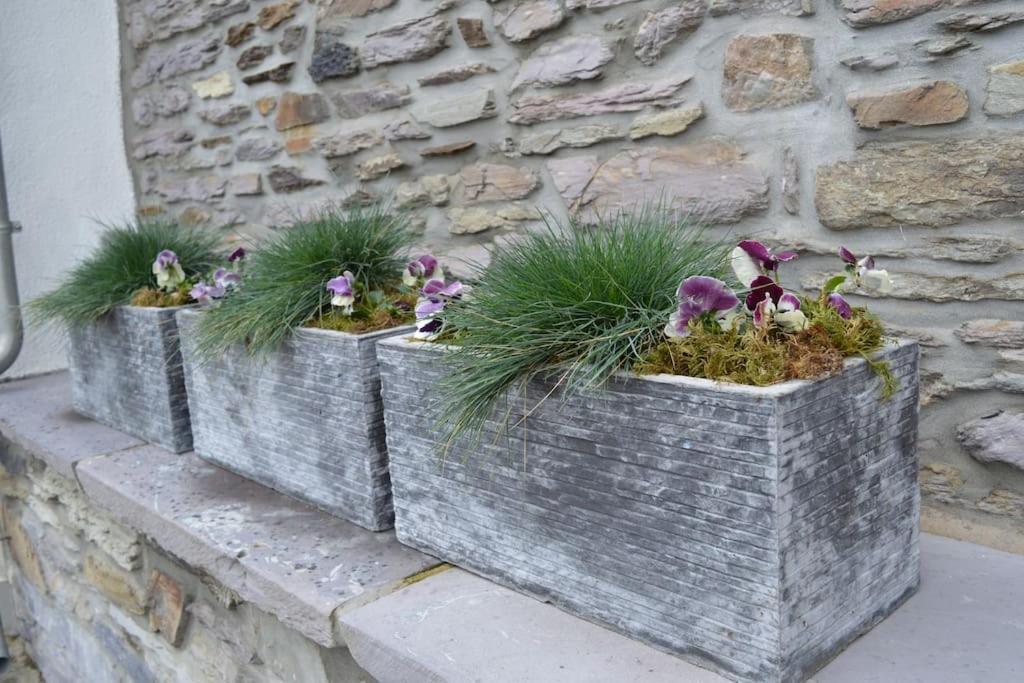 Ferienhaus La Forge